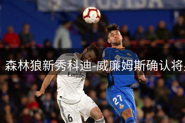 森林狼新秀科迪-威廉姆斯确认将身披9号战袍