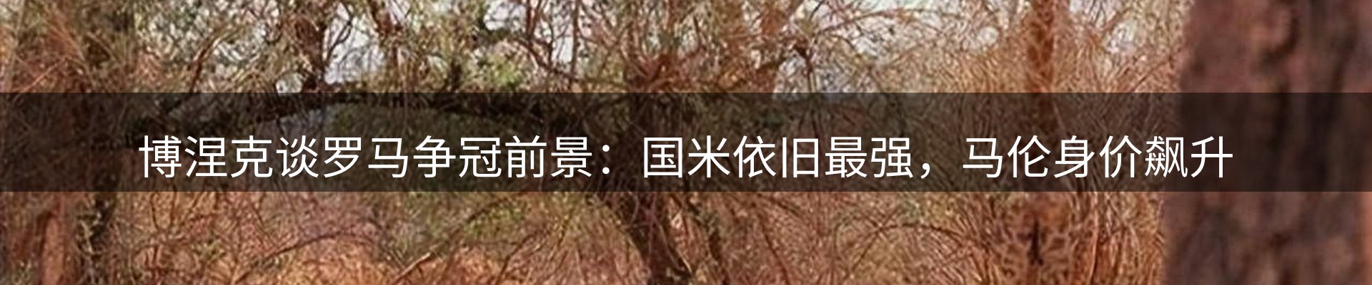 最新资讯