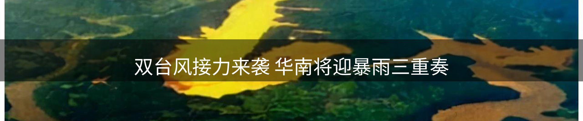 最新资讯