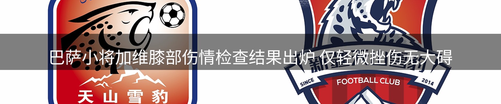 最新资讯